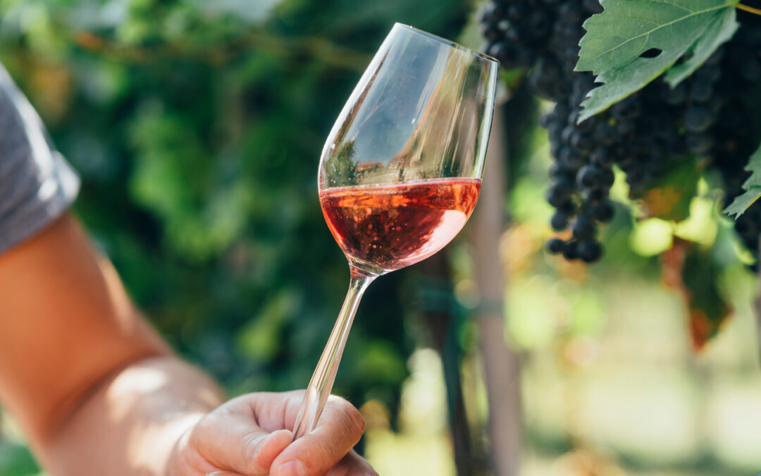 Paso Robles Wine