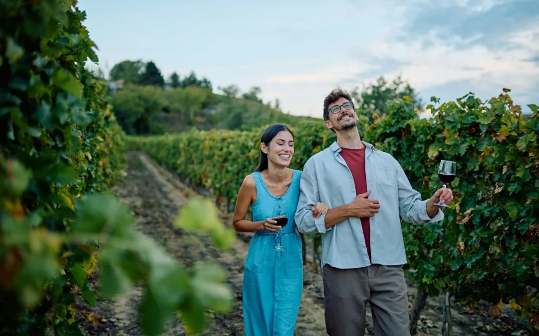 Beyond the Bottle: Why Paso Robles Wineries Are Defining the New American Standard