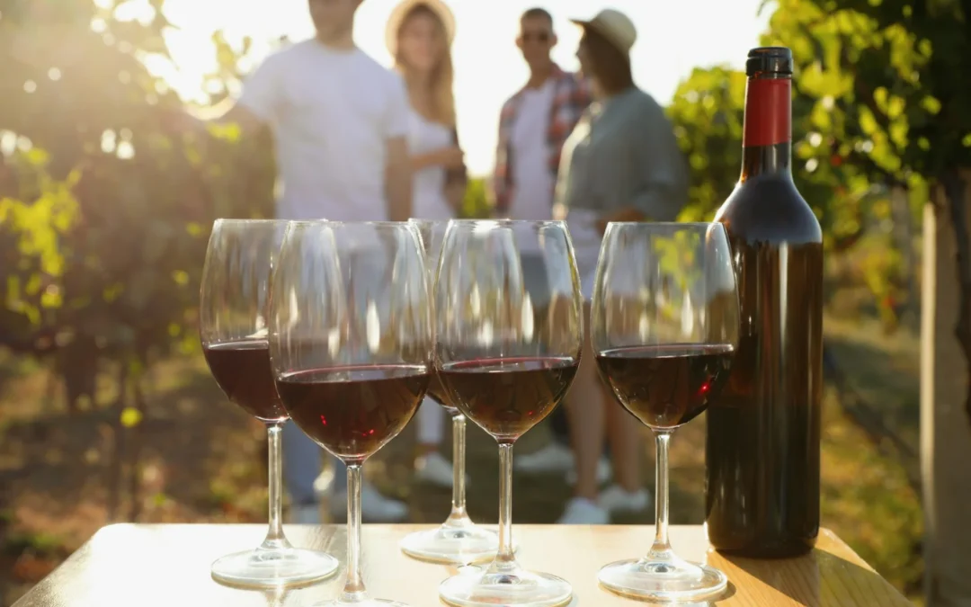 Beyond the Shelf: How Wine Club Memberships Unlock Your Best Glass