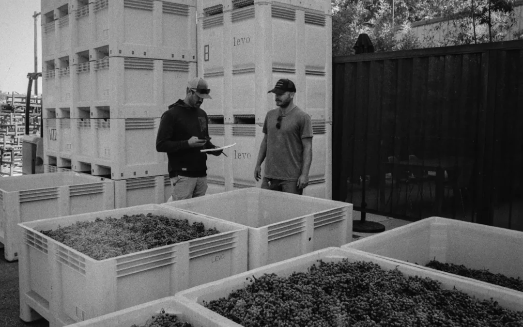 Levo Vineyard: Boutique Winery With Unique Wines